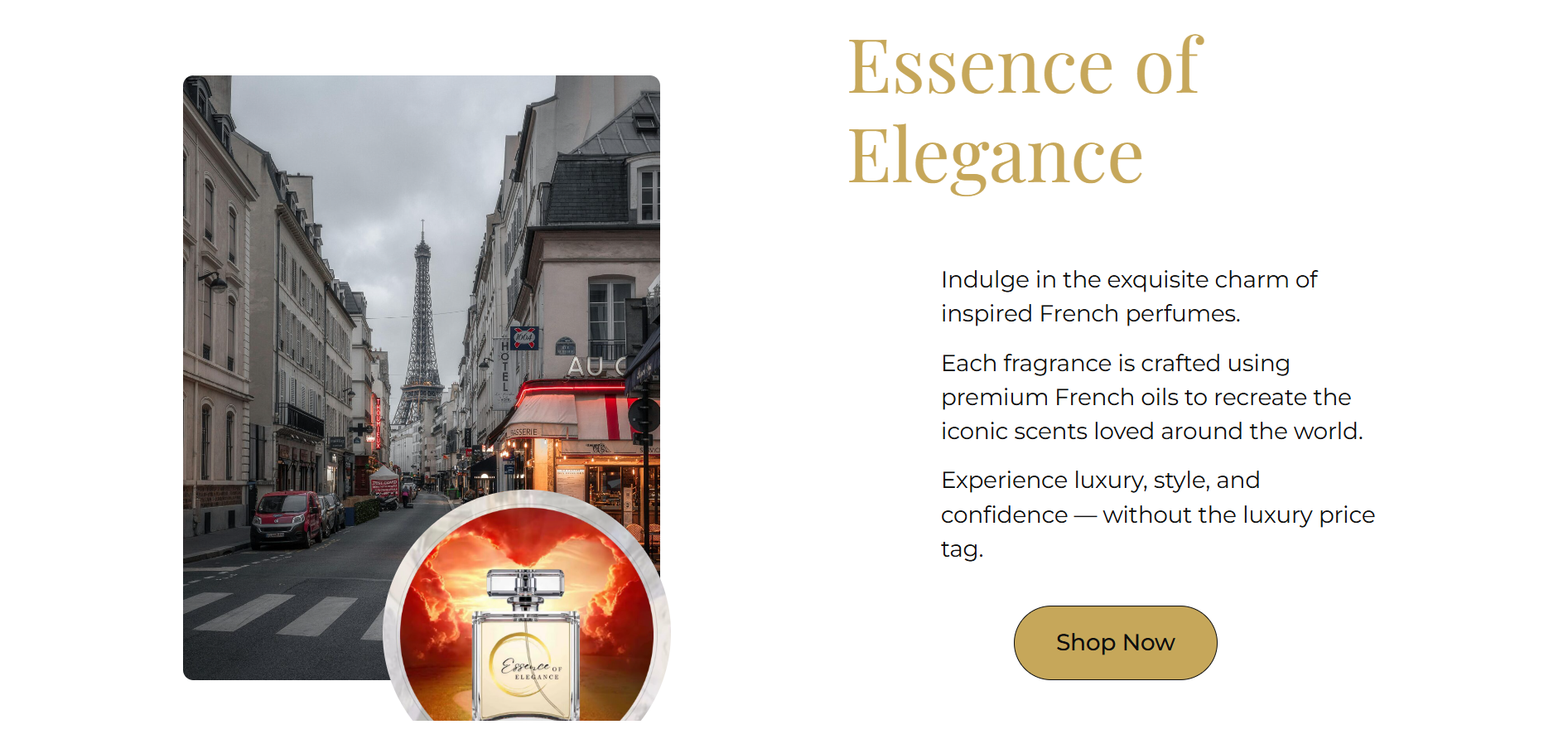 Essence of Elegance Site Preview